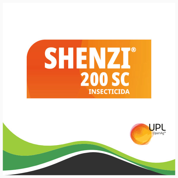 Shenzi - UPL