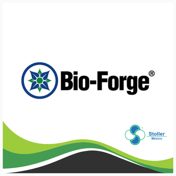 BioForge - Stoller