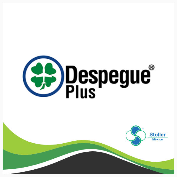 Despegue Plus - Stoller