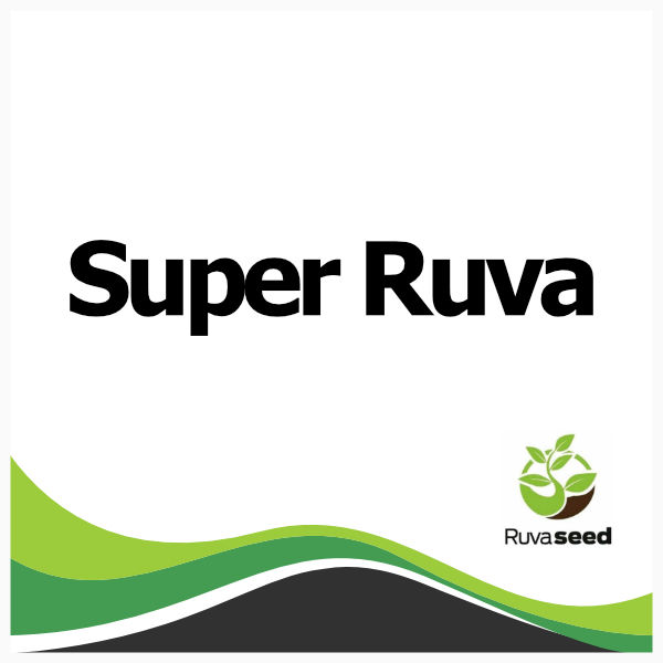 Super Ruva - Ruvaseed